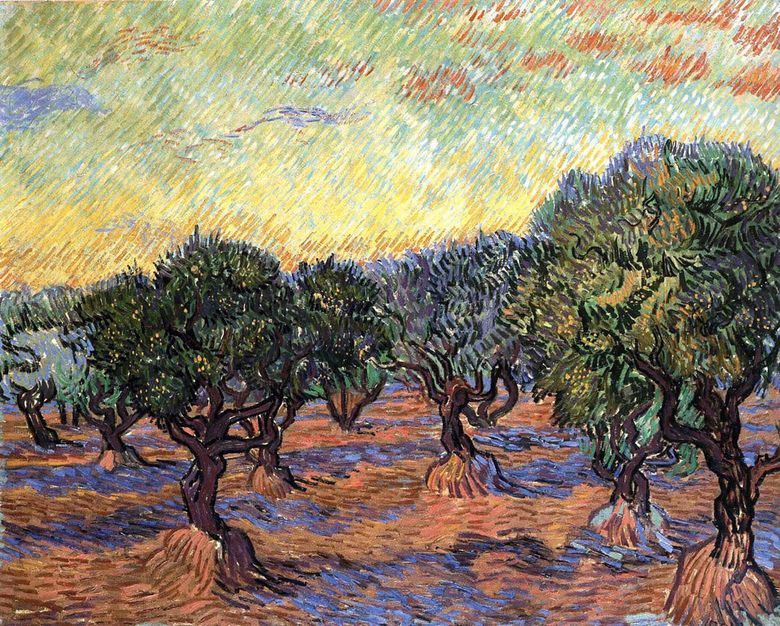 그 로브 올리브   Vincent Van Gogh