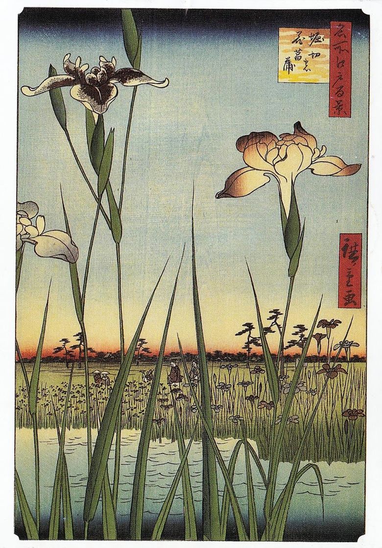 호리 키리의 아이리스 Utagawa Hiroshige